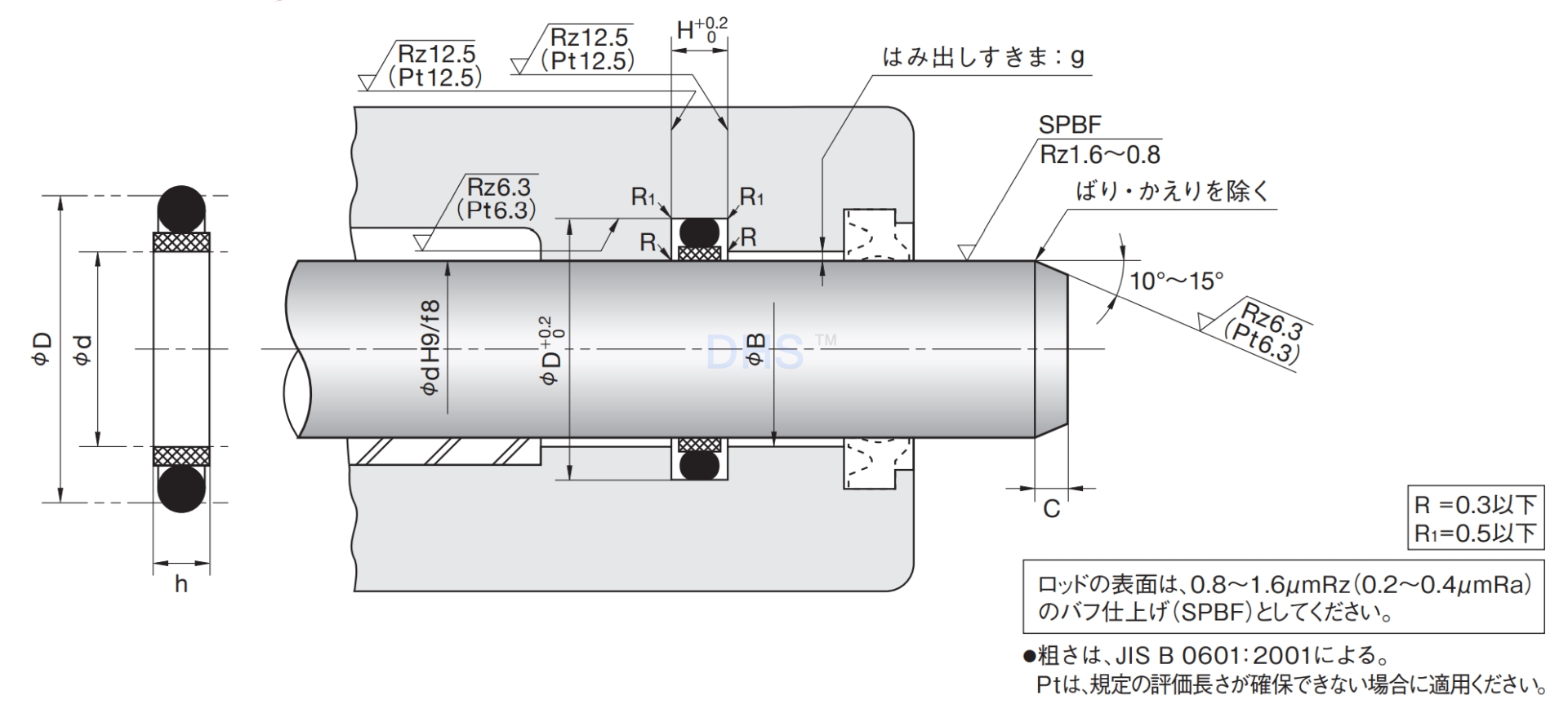 SPNO剖面沟槽-日.png