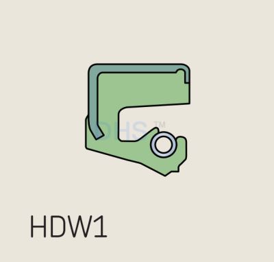 HDW1