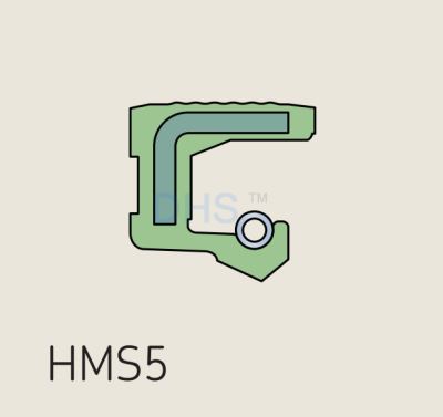 HMS5