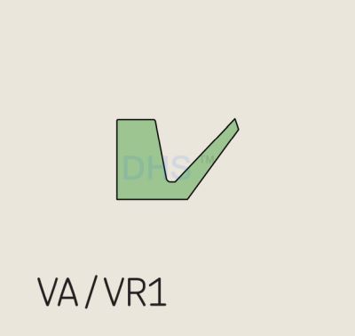 VA/VR1